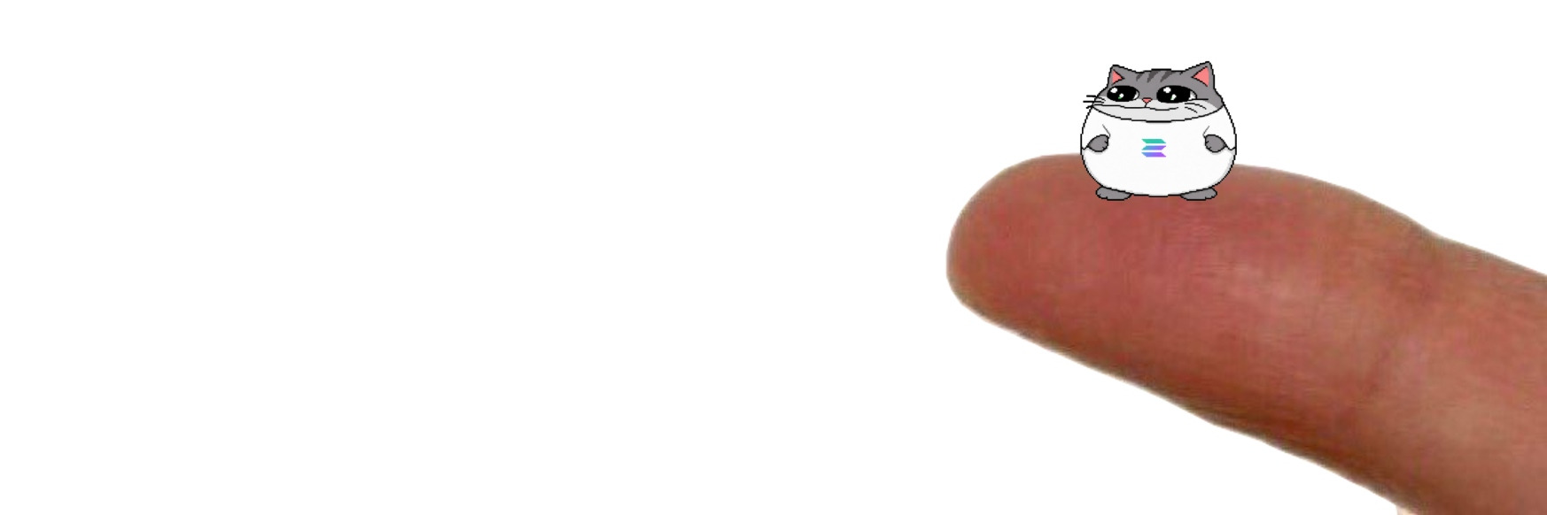 smol cat sitting on a fingertip